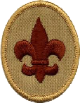 Scout Ranks